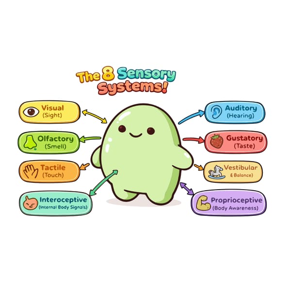 8 Sensory Systems